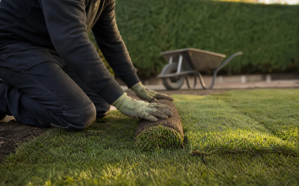 Logo Design for Landscapers & Garden Services: Standing Out When Every Van Is Green